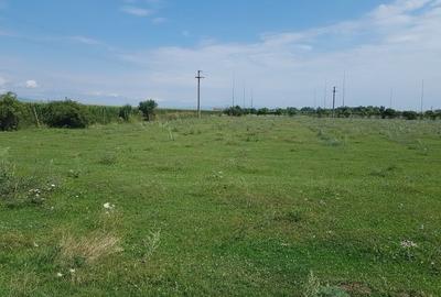 Teren agricol intravilan, Cristian ! - 6