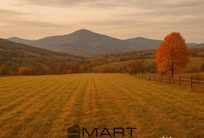 Teren de 1400 mp, în Central