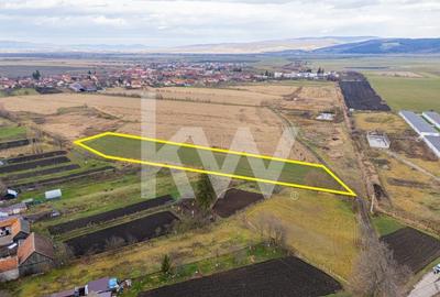 Teren 10000 mp in Extravilan, Bod, Brasov- COMISION 0% - 17