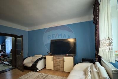 Casa saseasca autentica in A?el - 11