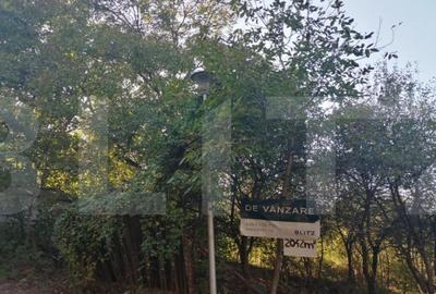 Teren de 2042 mp, în Gruia - 1