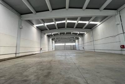 Spațiu comercial, de 1,400 mp, în Chișoda - 9