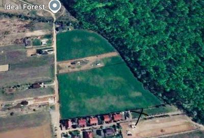 Teren de 500 mp, în Ciolpani - 1