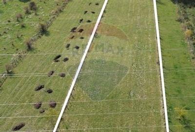 Teren de vanzare in Leresti - ideal pentru casa sau pensiune la munte - 12