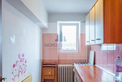 Garsoniera de inchiriat zona Titulescu-Banu Manta-Victoriei - 3