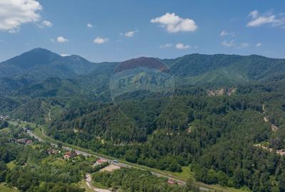 Teren Construcții intravilan de 3000 mp, în Dâmbul Morii - 10