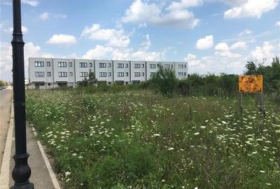 Vanzare Teren Campul Pipera - 10000 mp Vanzare Teren Campul Pipera - 10000 mp - 3