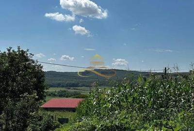 Casă cu 3 camere cu Canalizare în Secuieni - 11