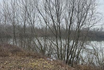 Spațiu comercial, în Batăr - 3