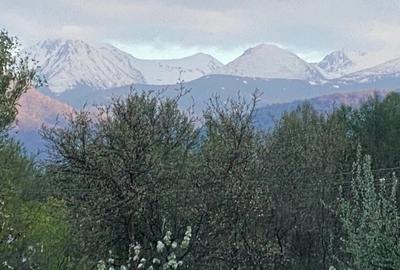 Teren de 6000 mp, în Cârnești - 3