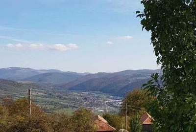 Casă cu 2 camere cu Teren 24215 Mp în Negreni - 1