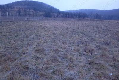 Casa de vanzare + 58 ari de teren intravilan 12 km de Dej, 60 km de Cluj-Napoca - 8