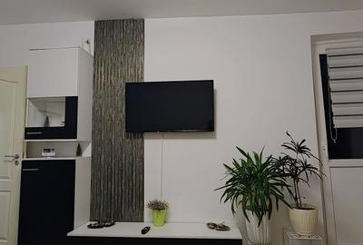 Apartament cu 2 camere decomandat, mobilat în Viitorului - 7