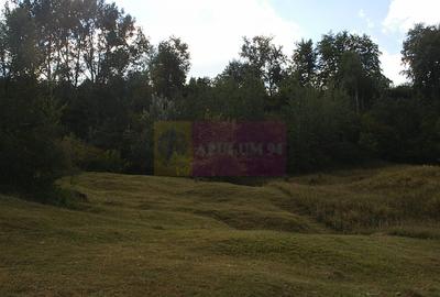 Teren agricol intravilan de 3092 mp, în Telega - 11