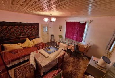 A 13. 20000 mp teren ?i 3 constructii casa in judetul Bacau - 5