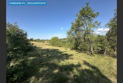 Teren Construcții intravilan de 17260 mp, în Calea Caransebeșului - 1