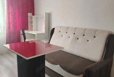 Garsonieră nedecomandată în Uzina 2 - 6