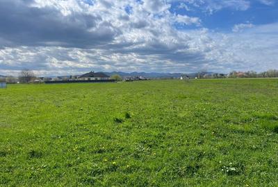 Teren de 3600 mp, în Vicovu de Sus - 6