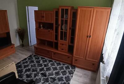 Apartament cu 2 camere semidecomandat în Exterior Vest - 9