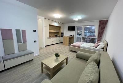 Studio Sinaia cu vedere spre munte - 3