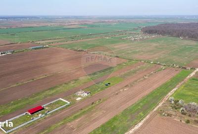 Teren de 500 mp, în Săbăreni - 8