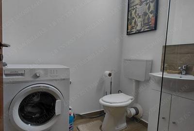 Apartament cu 2 camere, mobilat în Iosefin - 7