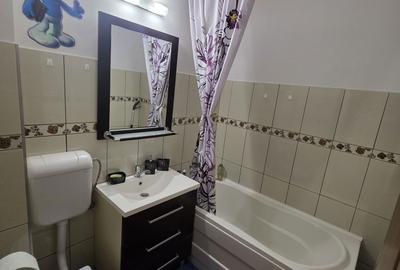 Apartament cu 2 camere semidecomandat în Paltin - 4