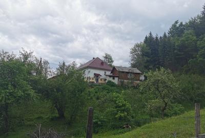 Casă cu 3 camere în Vidra - 8
