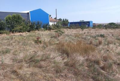 Poiana- str. Cerealelor, teren intravilan curti constructii 3417 mp de vanzare Poiana- str. Cerealelor, teren intravilan curti constructii 3417 mp de vanzare - 10