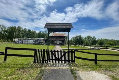 Vanzare teren *oportunitate investi?ie* situat in Carbune?ti-Sat, la DN 67B - 4