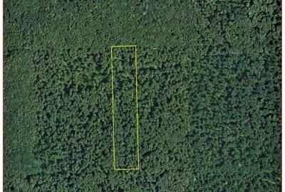 3 Ha Padurea Baneasa ZOO - Pipera - Schimb sau RATE - 3