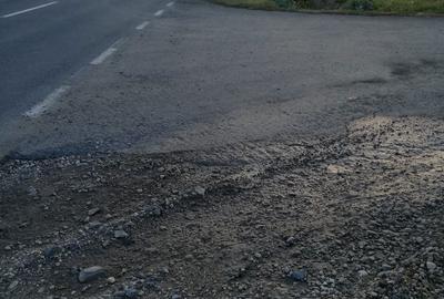Teren de 15000 mp, în Topolovățu Mare - 5