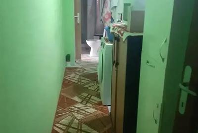 Casă cu 3 camere cu Teren 1930 Mp în Tulgheș - 7