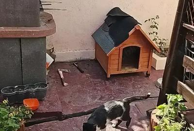 Casă cu 3 camere în Central - 1