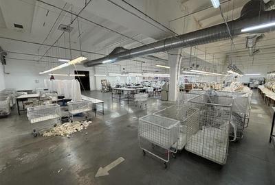 Complex industrial 30130  mp construit - Teren 42558 mp - 8