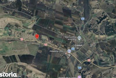 Teren de 8700 mp, în Adămuș - 2