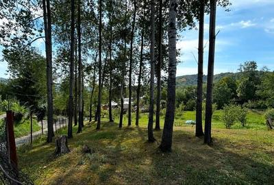 Spațiu comercial, în Lac de Verde - 1