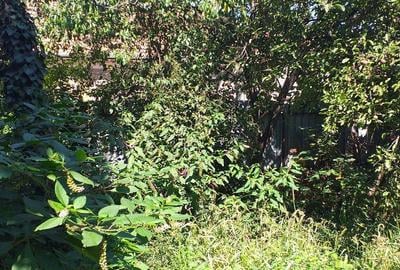 Casă cu 3 camere în Central