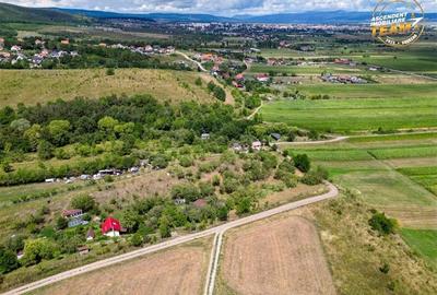 FILM! Confortabila ariere, 4.500 mp, arbori roditori, Sancraiu,Covasna - 3