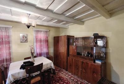 Casa renovabila 2,2 arii taren in Raciu - 10