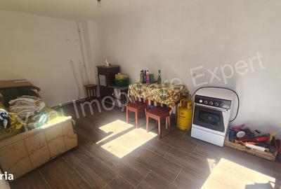 Casă cu 3 camere în Cerbu - 9