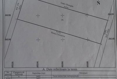 Teren de 1400 mp, în Surlari - 3