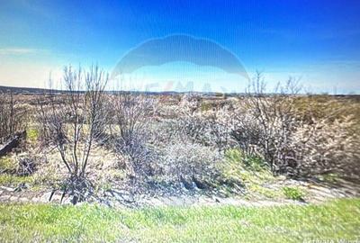 Teren de 4787 mp, în Almăj - 3