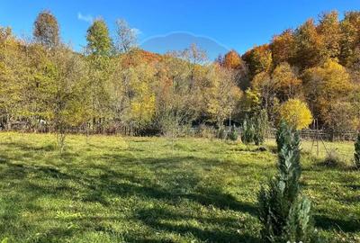 Teren de 1350 mp, în Gârcina - 2