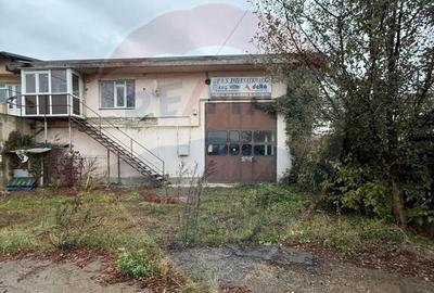 Hala - zona KAUFLAND Burdujeni - 12