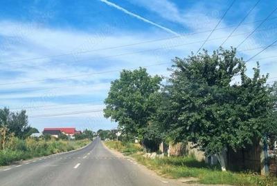 Vanzare Teren intravilan 10000mp Balaceanca - 17