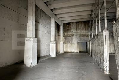 Hala industriala – 2800 mp utili, zona Botizului/Șoimoseni - 3