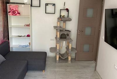 Apartament cu 2 camere semidecomandat în Petrișor - 3