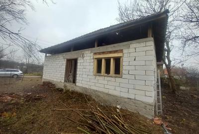 Casă cu 2 camere în Bârsa