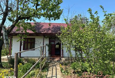 Casă cu 5 camere cu Teren 1422 Mp în Alexeni - 1